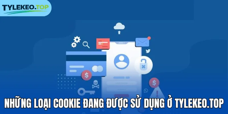 Những loại Cookie đang được sử dụng ở tylekeocacuoc.com