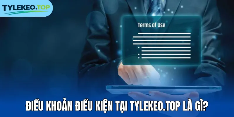 Điều khoản điều kiện tại tylekeocacuoc.com là gì?