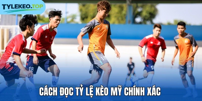 Cách đọc tỷ lệ kèo Mỹ chính xác