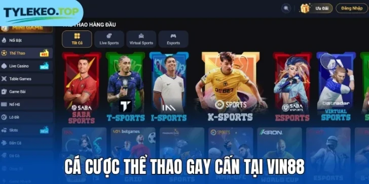 Cá cược thể thao gay cấn tại Vin88